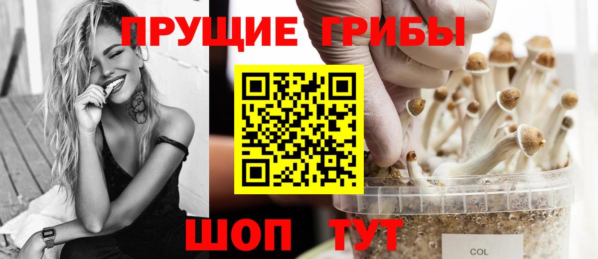 Урус-Мартан  Галлюциногенные грибы Cubensis  Псилоцибиновые грибы ЛСД  Вход с VPN 
